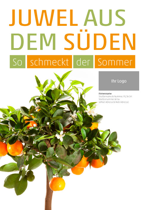 Plakat Mandarinenbaum